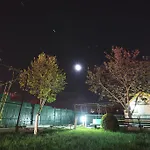 Nina Douăzeci şi Trei August