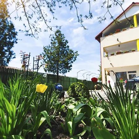 Nina Guest house 4*