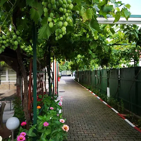 Guest house Nina