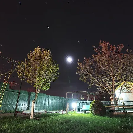 Nina Douăzeci şi Trei August